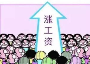 公务员工资改革，公平与激励的平衡艺术