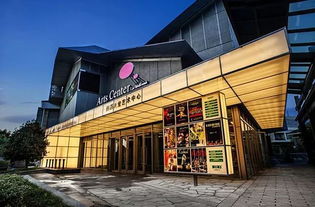 杭州足浴店，城市绿洲中的放松天堂