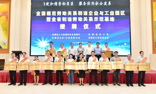 合肥市劳动和社会保障局，守护您的职业生活