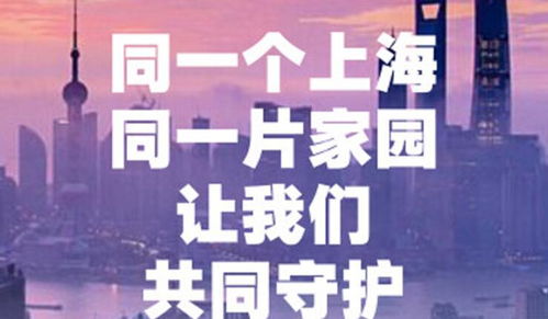 杨浦区疫情最新消息，共同守护我们的健康家园