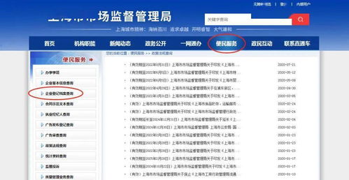 河南省工商行政管理局网站，企业信息查询与服务指南
