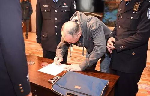 网上逃犯请求回国投案，法律与人性的交织