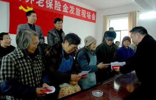 让农民养老更有保障，建议上调农民养老金