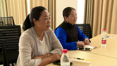 营口人事局，人才服务与职业发展的桥梁