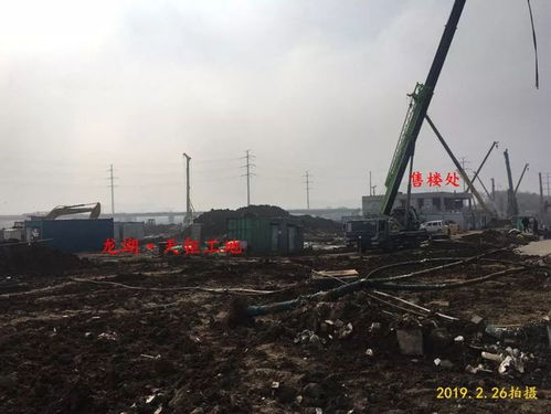 缅强震大桥房屋垮塌，自然灾害下的社会影响与应对