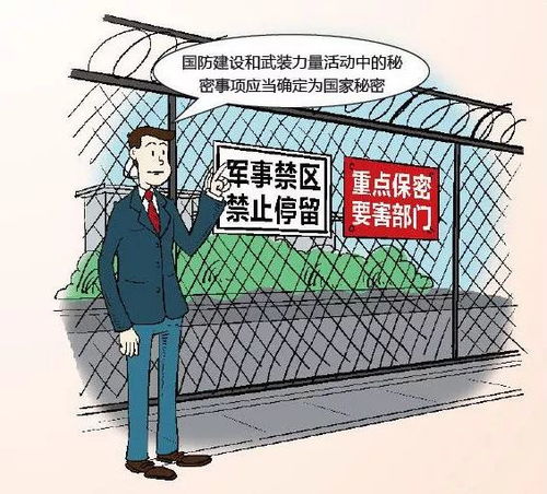 深入解析，侮辱国旗案宣判背后的法律原则与社会影响