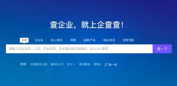 揭秘上市公司信息，投资者必读的财务与运营指南