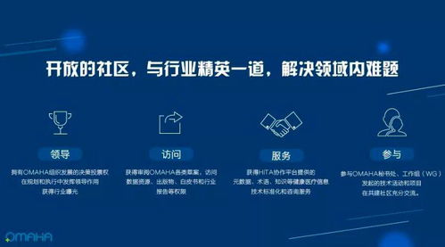 团队协作的艺术，如何在五人轮换中实现高效工作