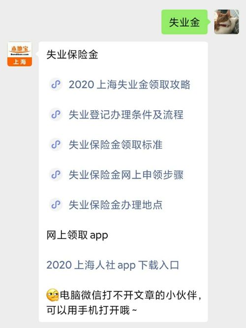 深入了解失业保险金，保障与申领指南