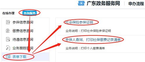 广州社保查询指南，如何轻松掌握个人账户信息