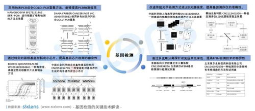 专利申请表，创新保护的第一步