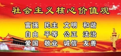 执法规范化建设，法治社会的坚实基石