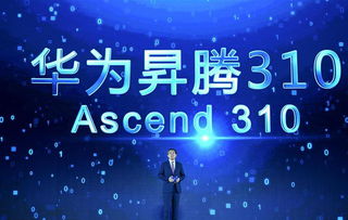 吉安市人民政府网，数字化政务的吉安实践与未来展望