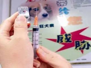 狂犬病疫苗造假，一个不容忽视的公共卫生危机