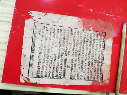 揭开操场下的秘密，彻底清查的重要性与行动指南