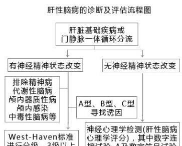 医院等级制度，了解医疗体系的关键