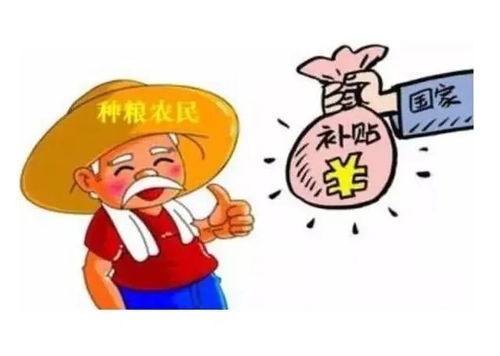 疫情蔓延，11省的挑战与我们的共同应对