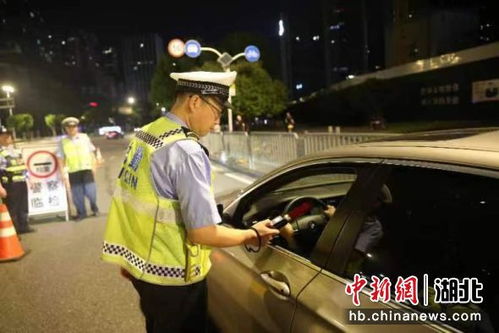 贵阳市交警违章查询，守护您的驾驶安全与法律意识