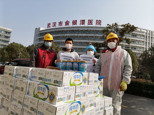 景芝镇疫情，抗击与复苏的双重奏