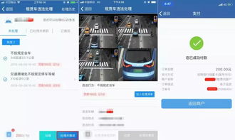 聊城市车辆违章查询，便捷、高效的交通管理新体验