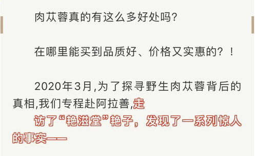 探索阿拉善，近期动态与变化