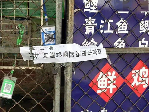 南宫疫情新动态，防控措施升级，市民生活逐步恢复正常