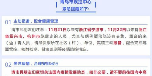 山东青岛疫情动态，深入了解与应对策略