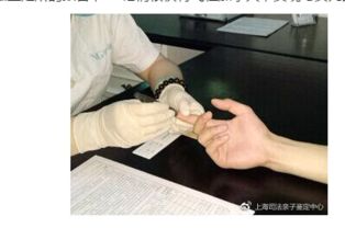 揭开DNA亲子鉴定的神秘面纱，科学、伦理与实践