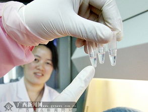 揭开DNA亲子鉴定的神秘面纱，科学、伦理与实践