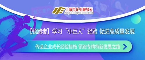 上海工商局网上年检，企业合规的便捷之路