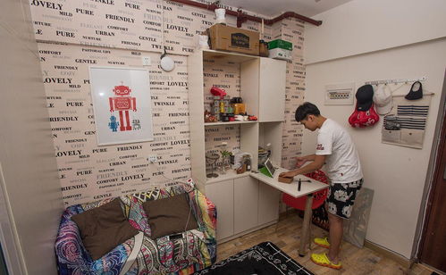 探索岳阳房屋出租市场，机遇、挑战与实用指南