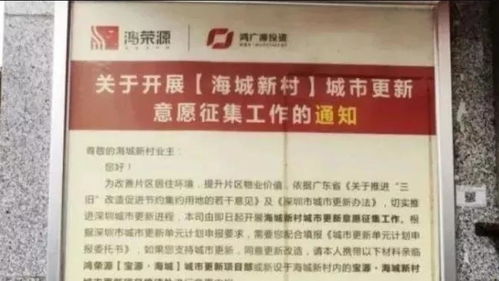 城市生活新风尚，如何合法向城管申请摆摊指南