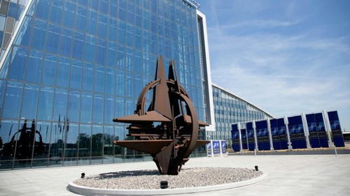 中学生暴力事件，理解、预防与应对策略