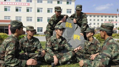 丰台区民政局，社区服务的桥梁与纽带