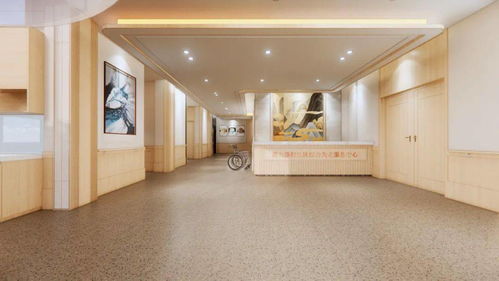 丰台区民政局，社区服务的桥梁与纽带