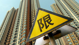 宁河二手房市场深度解析，投资与自住的双重视角