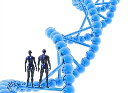 深入探索DNA鉴定，科学、伦理与应用