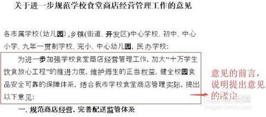 掌握意见的格式，沟通的艺术与效率的桥梁