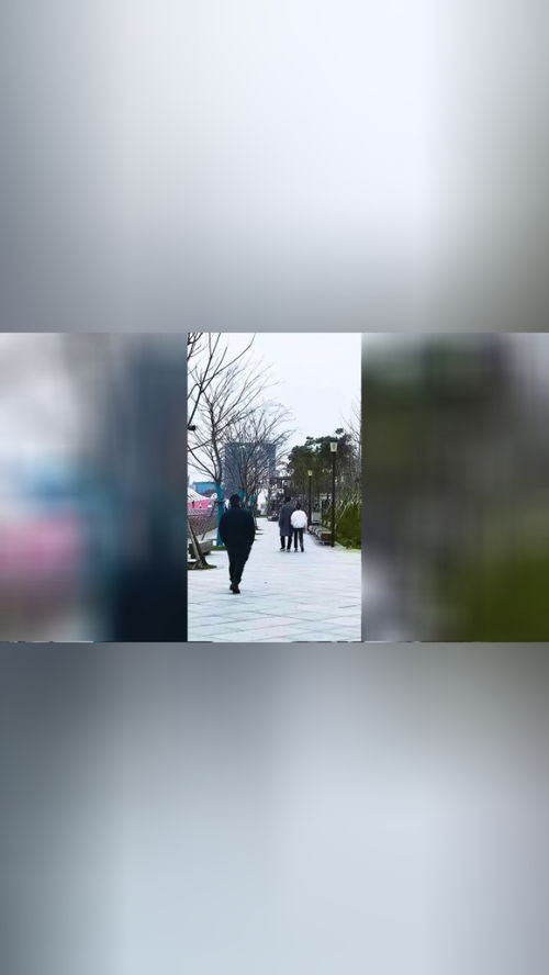 上海抗疫新篇章，今日疫情动态全解析