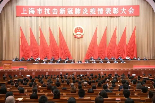 上海抗疫新篇章，今日疫情动态全解析