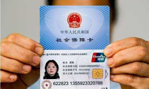 深圳市居住证查询，您的城市生活通行证