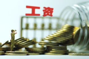 深入解析事业单位工资制度，公平与激励的平衡艺术