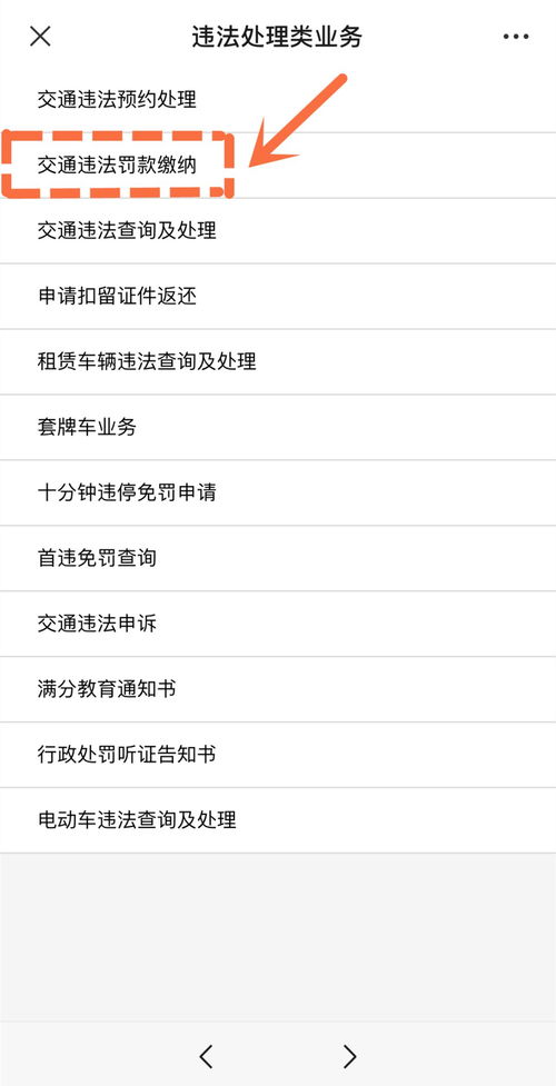 深圳交通违章记录查询，一站式指南，让违章处理不再头疼