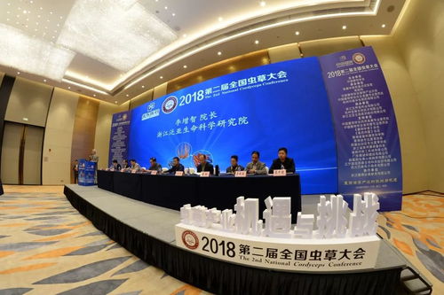 郑州宾馆转让，机遇与挑战并存，揭秘背后的故事