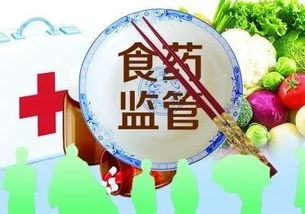 守护健康，深入探讨食品药品安全问题
