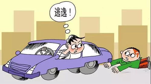 警惕酒后驾驶，危害、后果与预防措施