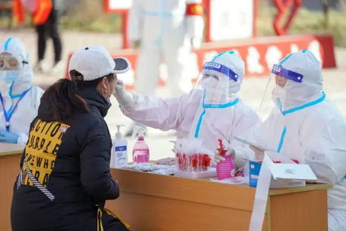 大连核酸检测异常事件，了解、预防与应对