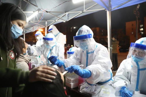 大连核酸检测异常事件，了解、预防与应对