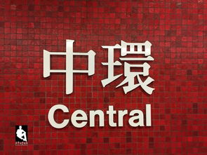 悬赏，激励与智慧的交汇点