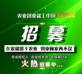猪饲料代理，开启农业创业的新篇章